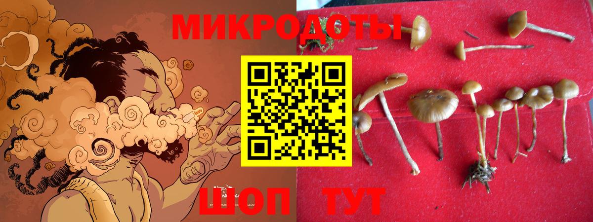Псилоцибиновые грибы GOLDEN TEACHER  Вход с VPN  Тула  Псилоцибиновые грибы Cubensis 