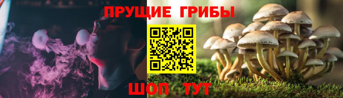 Бошки Шишки Тула